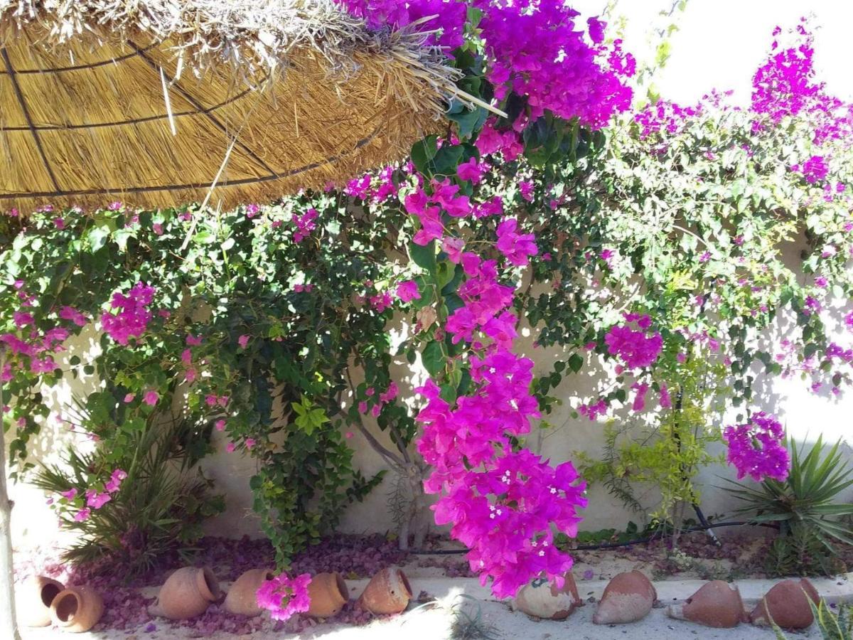 Dar Janis Djerba دار يانيس جربة Appartement Houmt Souk  Kamer foto