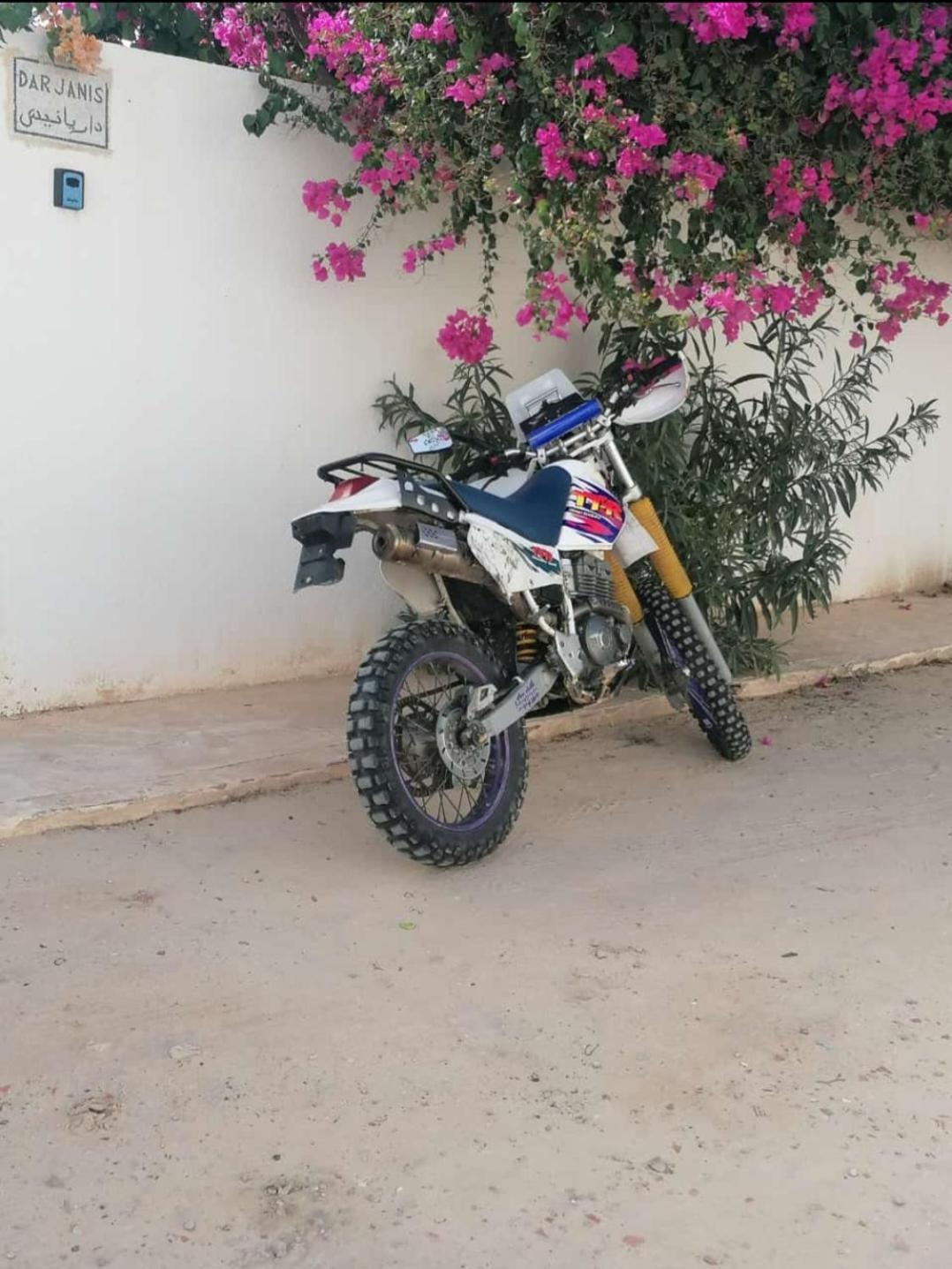 Dar Janis Djerba دار يانيس جربة Appartement Houmt Souk  Buitenkant foto